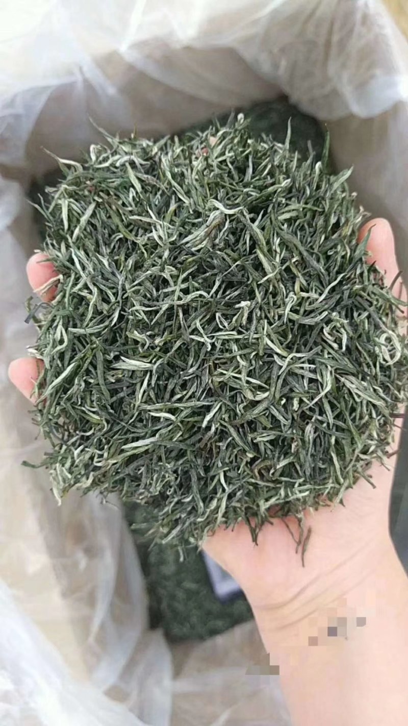 包邮信阳毛尖小芽，口感清香，提神养精，量大从优，全国发货