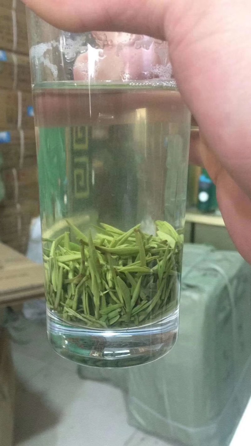 包邮信阳毛尖小芽，口感清香，提神养精，量大从优，全国发货