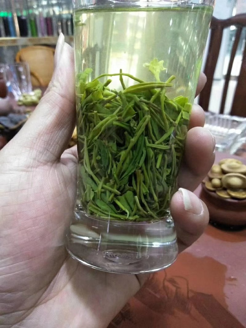 包邮信阳毛尖小芽，口感清香，提神养精，量大从优，全国发货