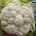 【陕西汉中菜花】乳白紧花产地直供商超加工保正质量全国发货