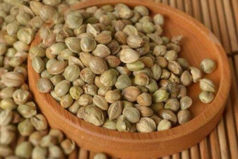 火麻仁火麻子火麻籽农家初选农副产品1111
