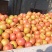 方城县博望镇硬粉精品西红柿🍅，欢迎选购