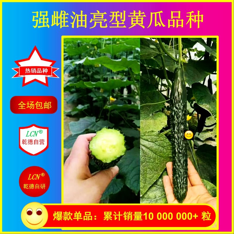 【包邮】乾德777密刺黄瓜种子登记品种强雌油亮春秋