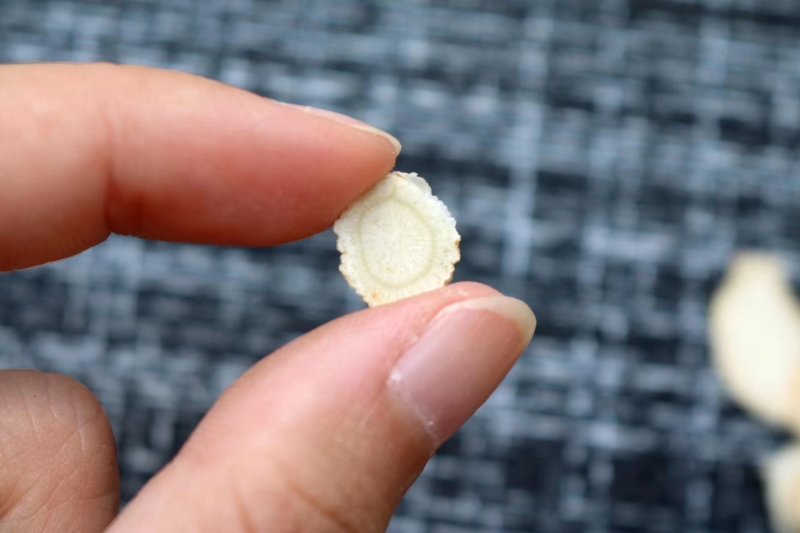 精选花旗参0.8cm中大片足龄老参参味浓高品质可礼盒装