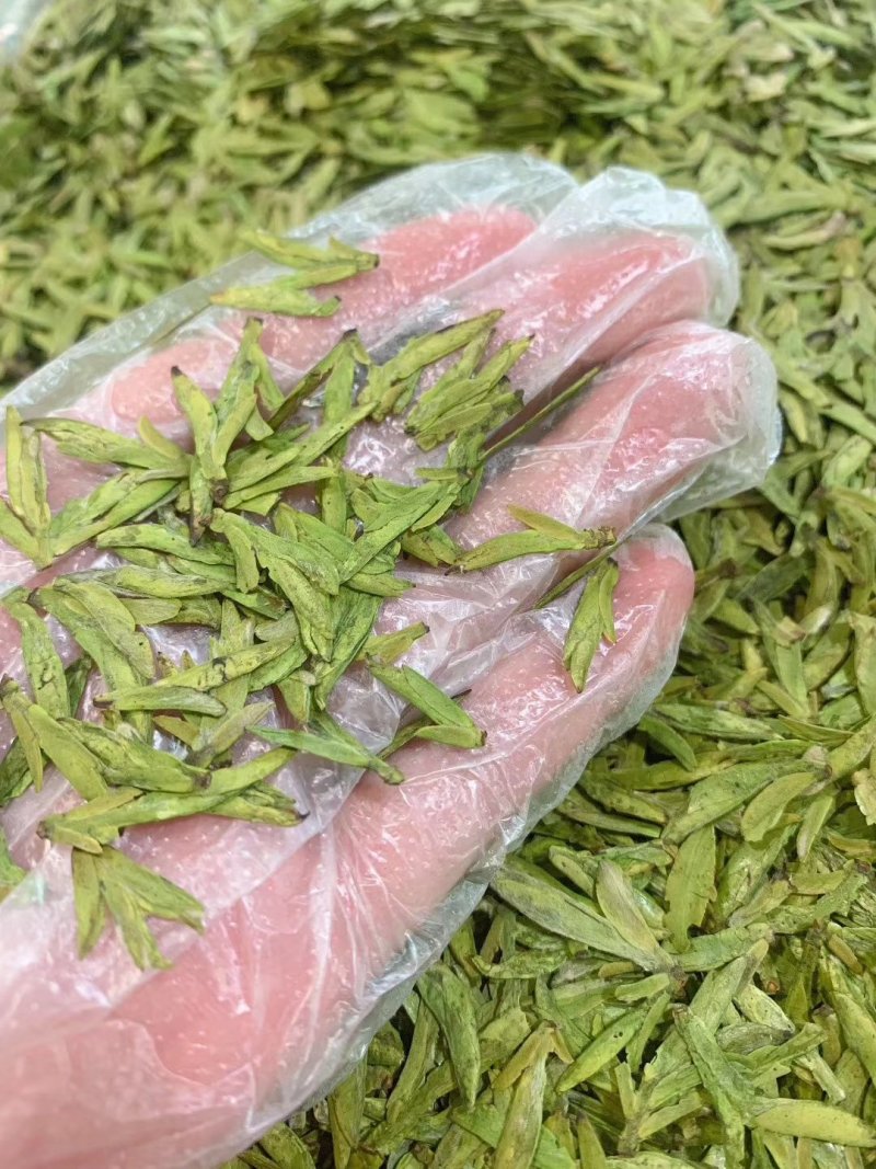6A西湖龙井新茶明前绿茶一斤两罐包邮