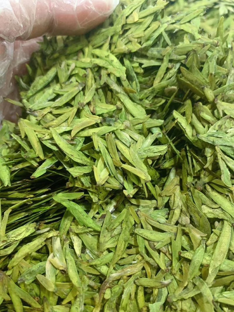 6A西湖龙井新茶明前绿茶一斤两罐包邮