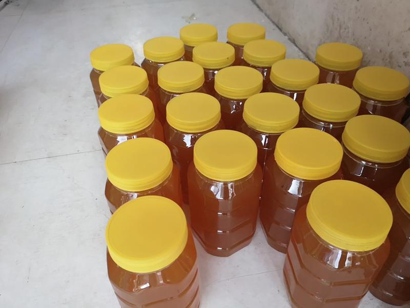 龙眼蜜荔枝蜜自家蜂蜜，纯正花香，欢迎新老客户订购。