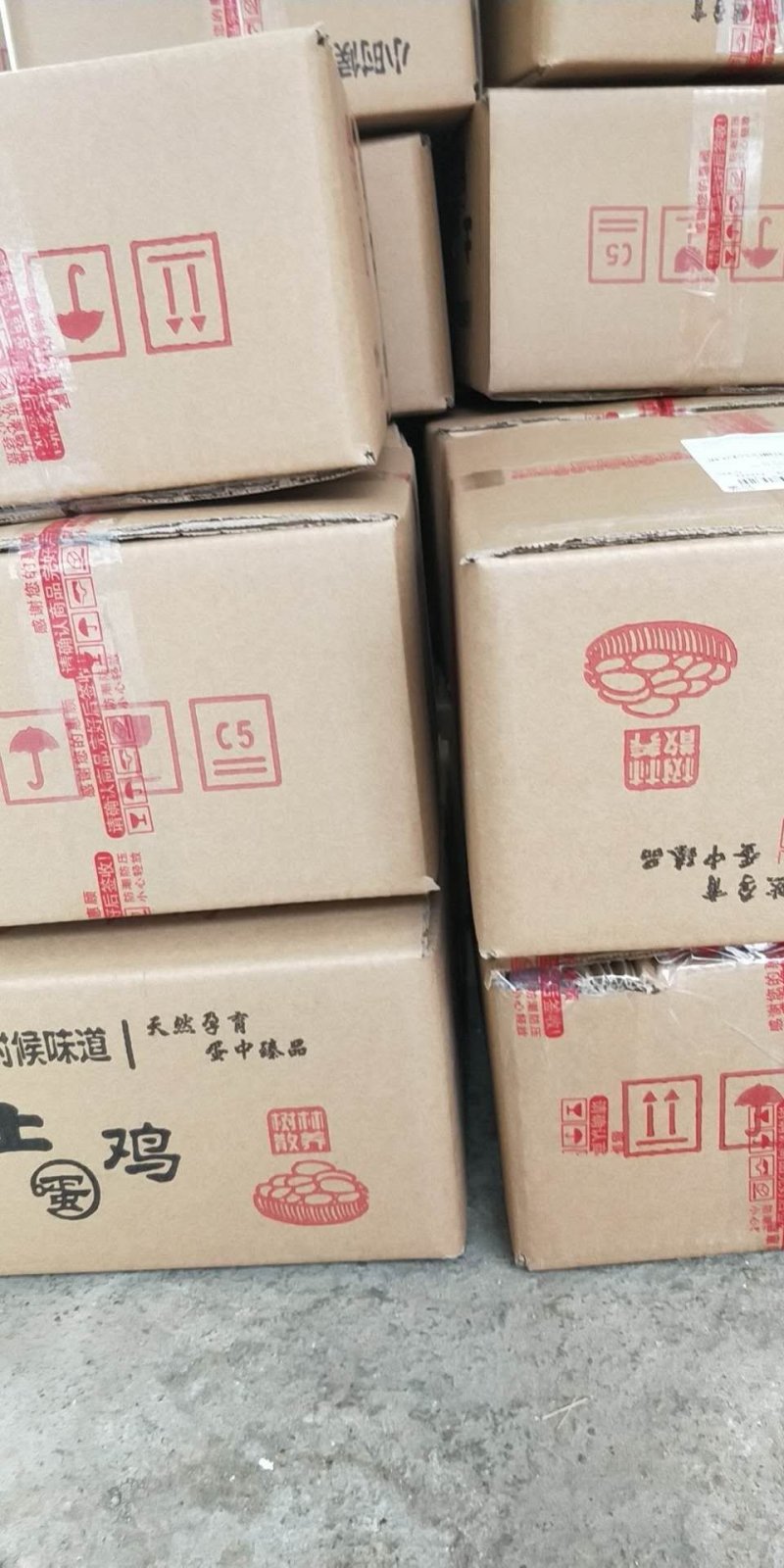 9斤黄快大型铁麻，三黄鸡红玉种蛋出售蛋托发货破损包赔