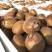 徐香猕猴桃一件代发5斤14.8