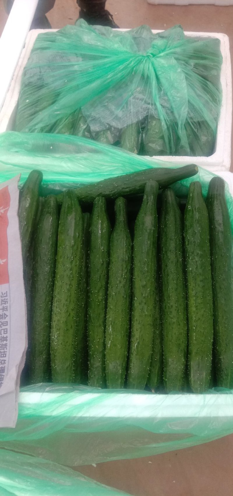 黄瓜