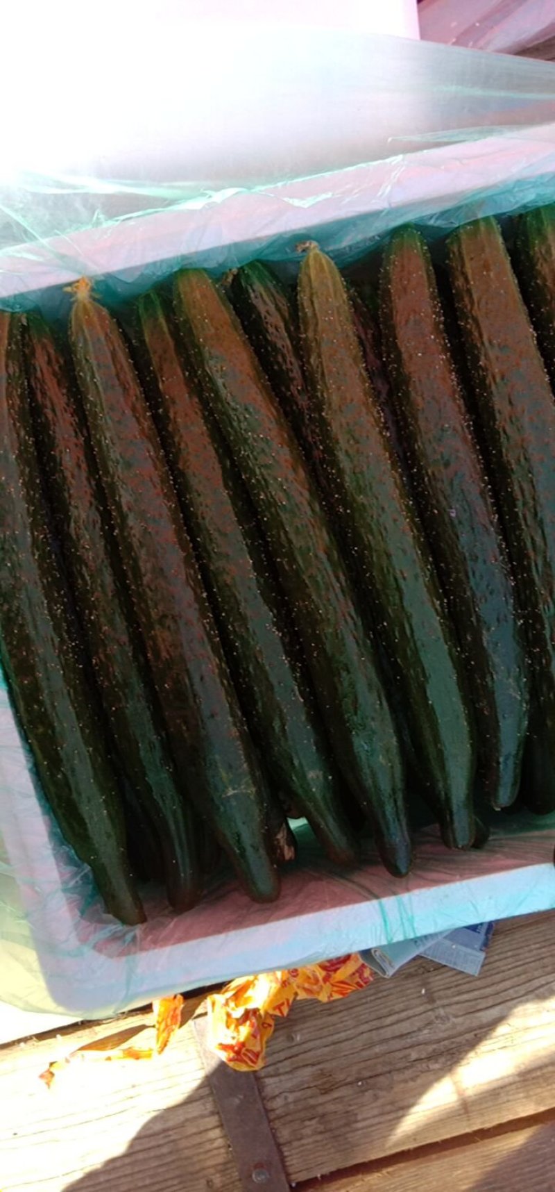 黄瓜
