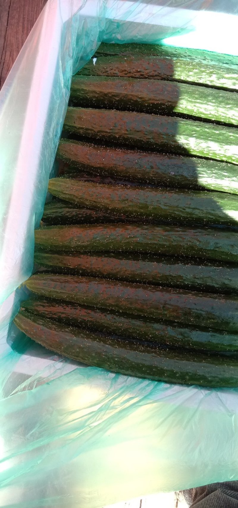 黄瓜