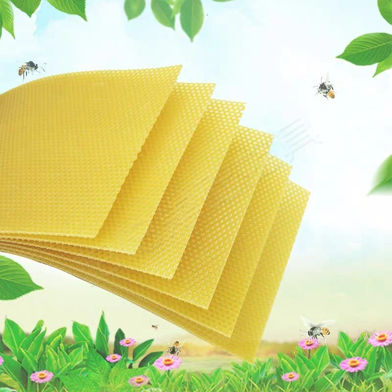 中蜂巢础片深房蜂巢蜂蜡蜜蜂箱养蜂工具巢脾巢基36片怕怕巢