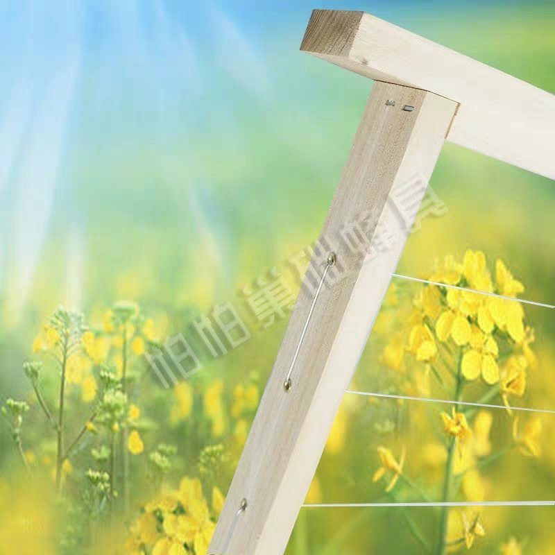 蜜蜂工具成品巢框杉木巢框中蜂标准巢框蜂箱蜂具养蜂工具巢框