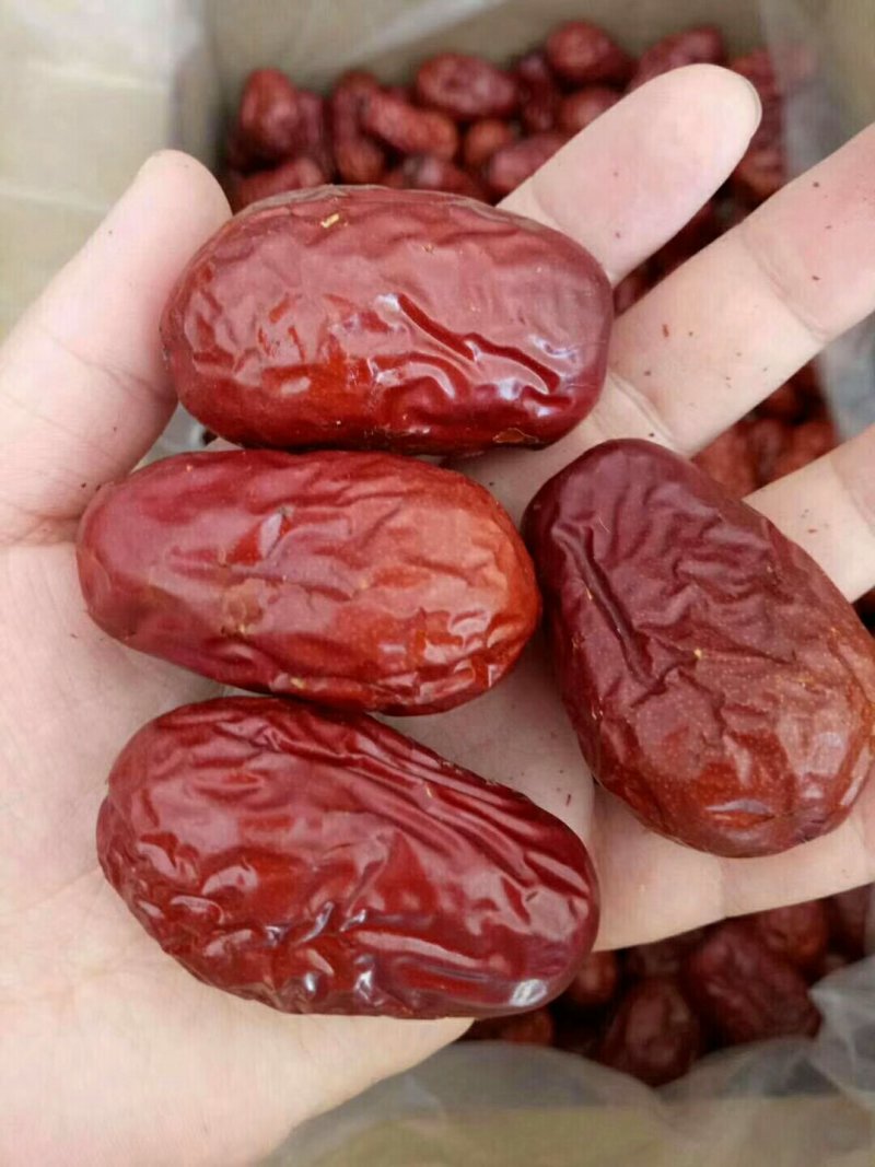 新疆干红大枣厂家一手货源质量保证量大价低