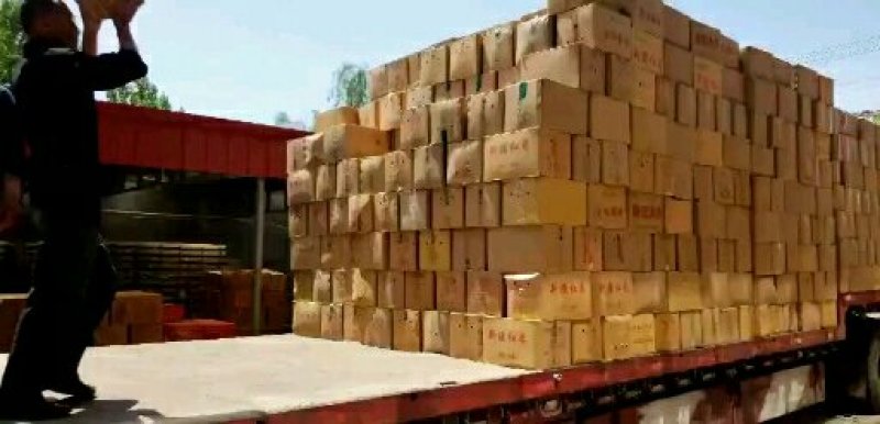 新疆干红大枣厂家一手货源质量保证量大价低