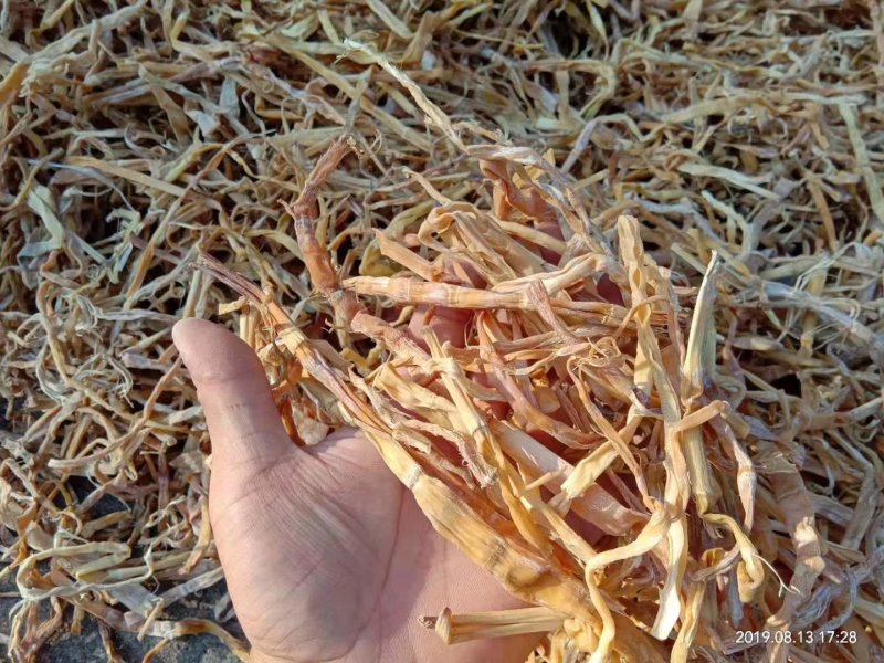 农家手工小竹笋麻竹笋小笋干原味笋干