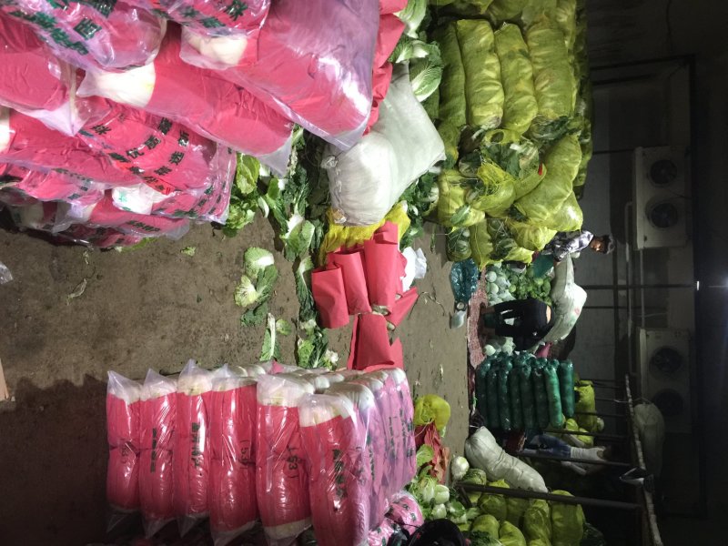 河北张家口坝上康保县黄心大白菜量大货好产地直供