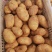 土豆
