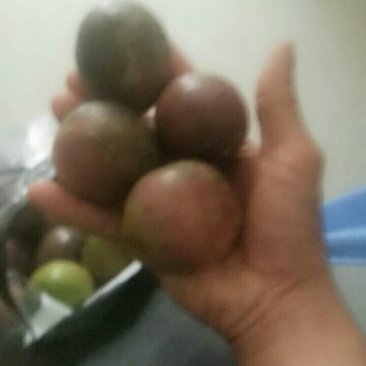 山村自家种的百香果。