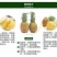 新鲜菠萝云南水果当季香水小菠萝5斤9斤包邮