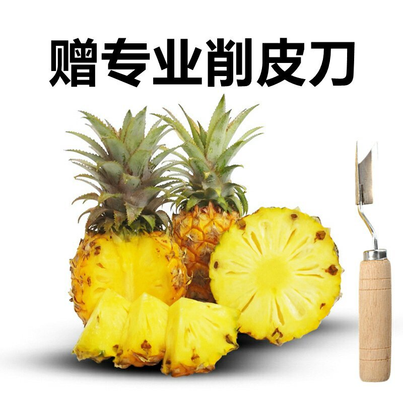 新鲜菠萝云南水果当季香水小菠萝5斤9斤包邮