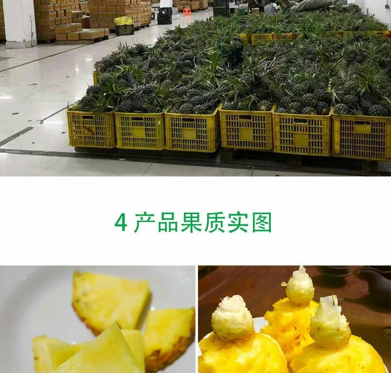 新鲜菠萝云南水果当季香水小菠萝5斤9斤包邮
