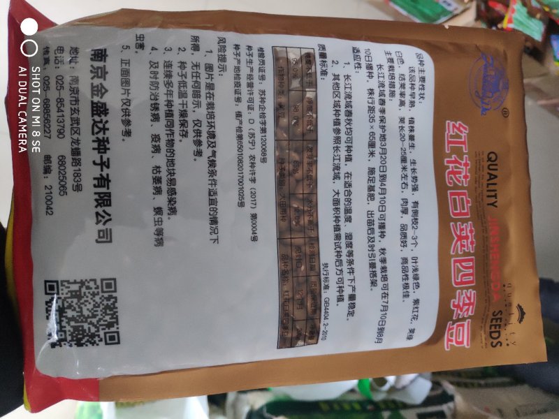 红花白荚四季豆种子早熟荚绿白色结荚率高