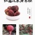 野生红菇2020年新货红中菇，产地直销特价红蘑菇干货
