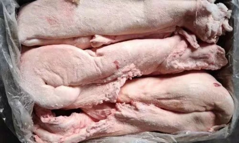 新鲜冷冻猪膘20斤生猪膘猪油猪肥肉猪板油江浙沪皖包邮