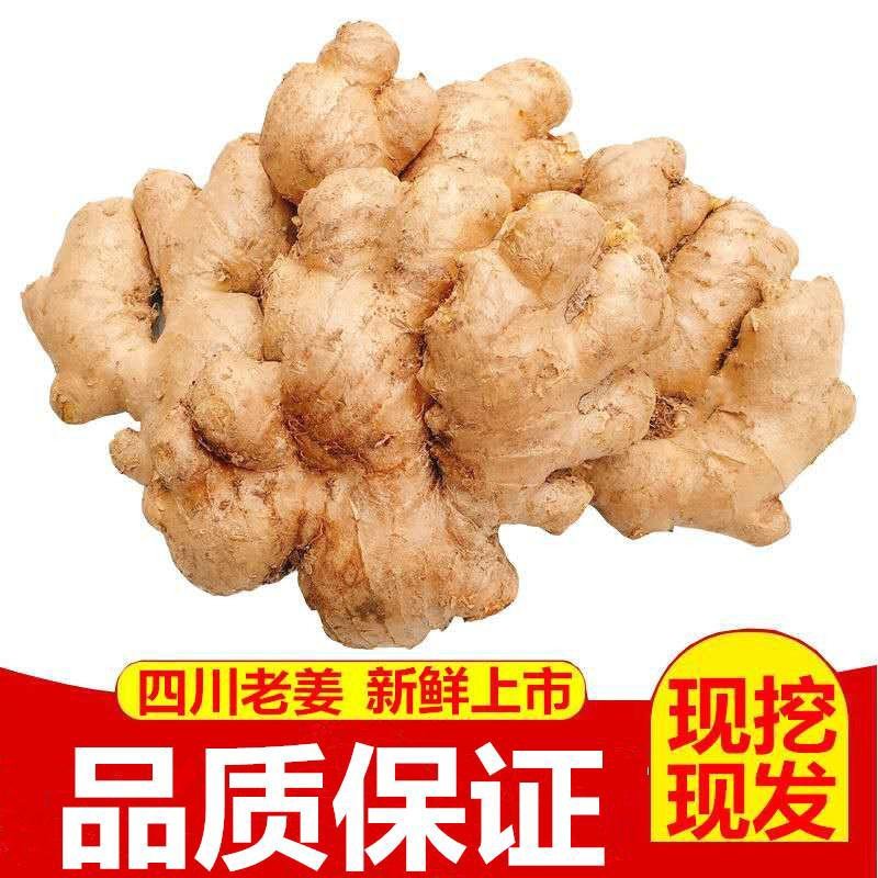 现挖新鲜老姜生姜单买批发代发