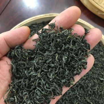 峨眉山高山绿茶，口感好特耐泡一斤两盒装