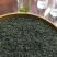峨眉山高山绿茶，口感好特耐泡一斤两盒装
