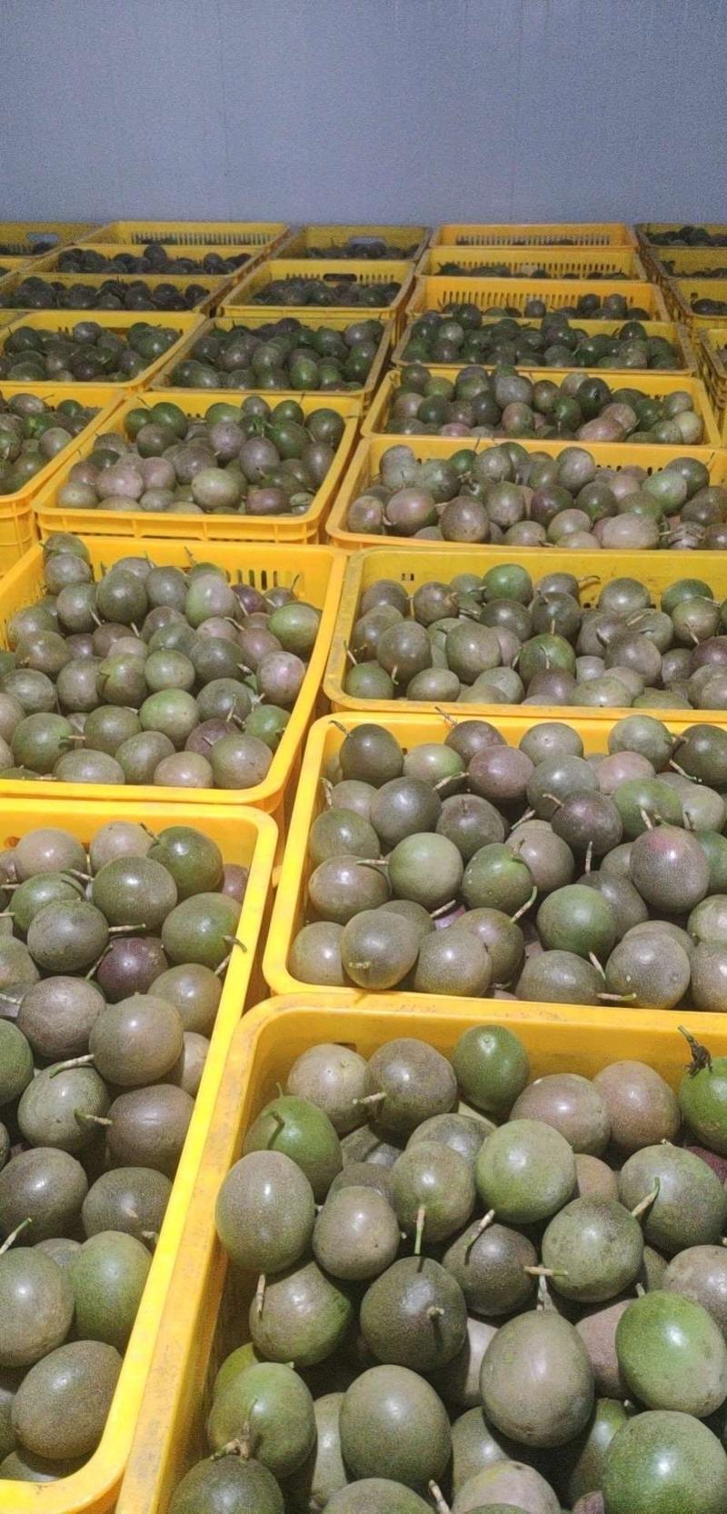 广西百香果新鲜热带水果产地直销