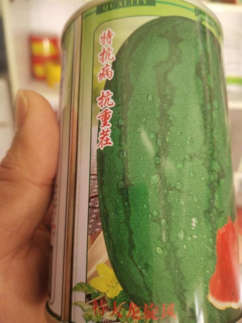 龙卷风西瓜种子大果高抗病不整枝不打杈皮坚韧耐储运。