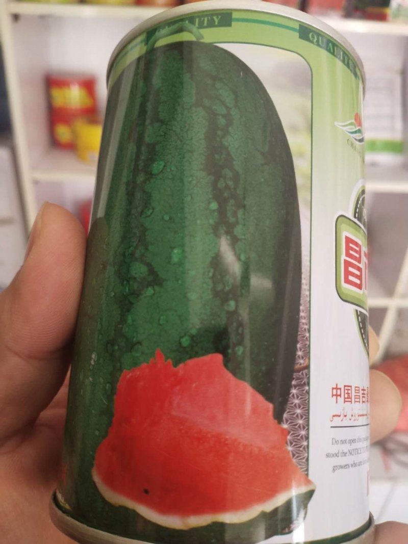 龙卷风西瓜种子大果高抗病不整枝不打杈皮坚韧耐储运。
