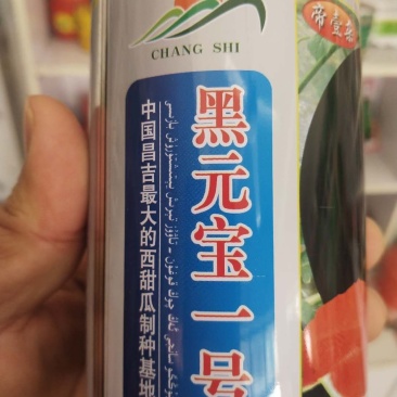 黑元宝西瓜种子黑皮无籽圆形大红瓤蜡粉浓