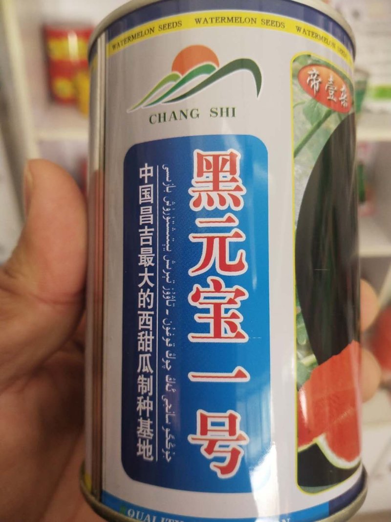 黑元宝西瓜种子黑皮无籽圆形大红瓤蜡粉浓