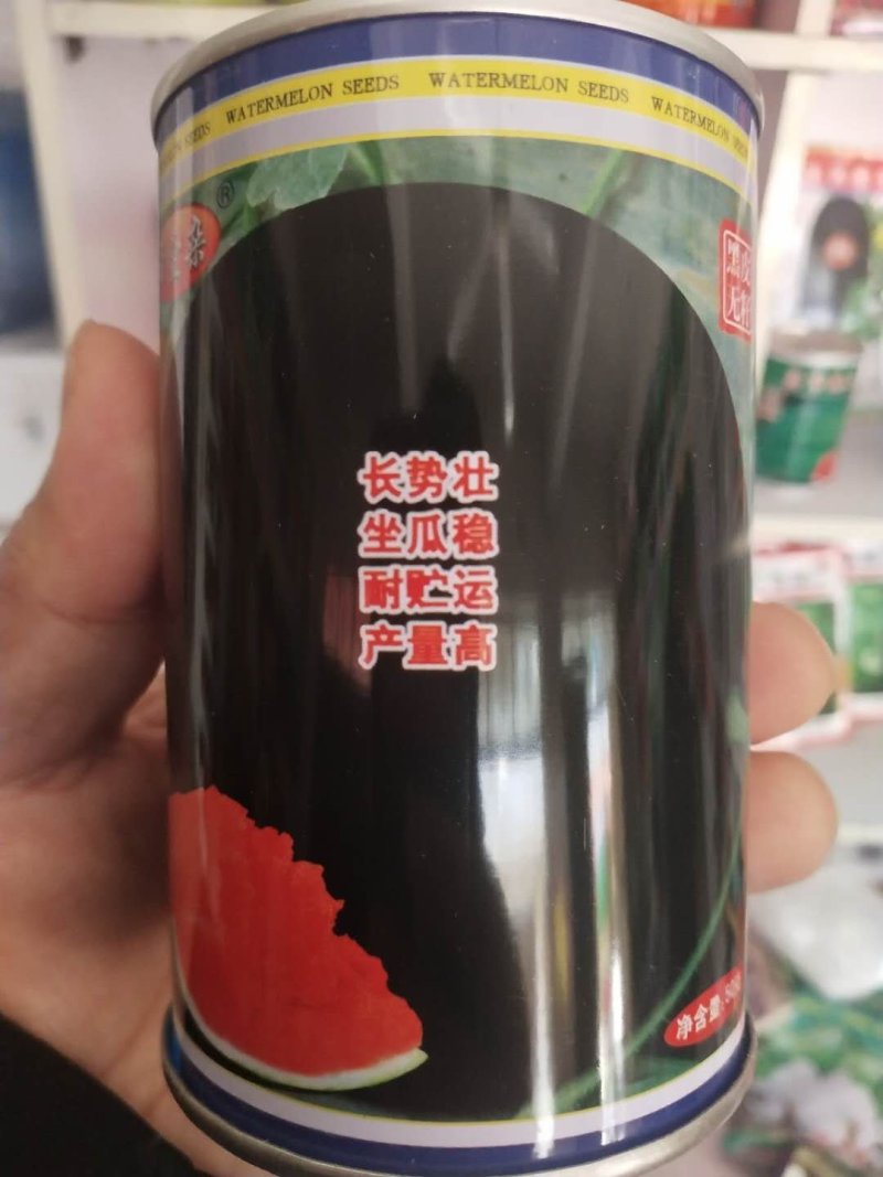 黑元宝西瓜种子黑皮无籽圆形大红瓤蜡粉浓