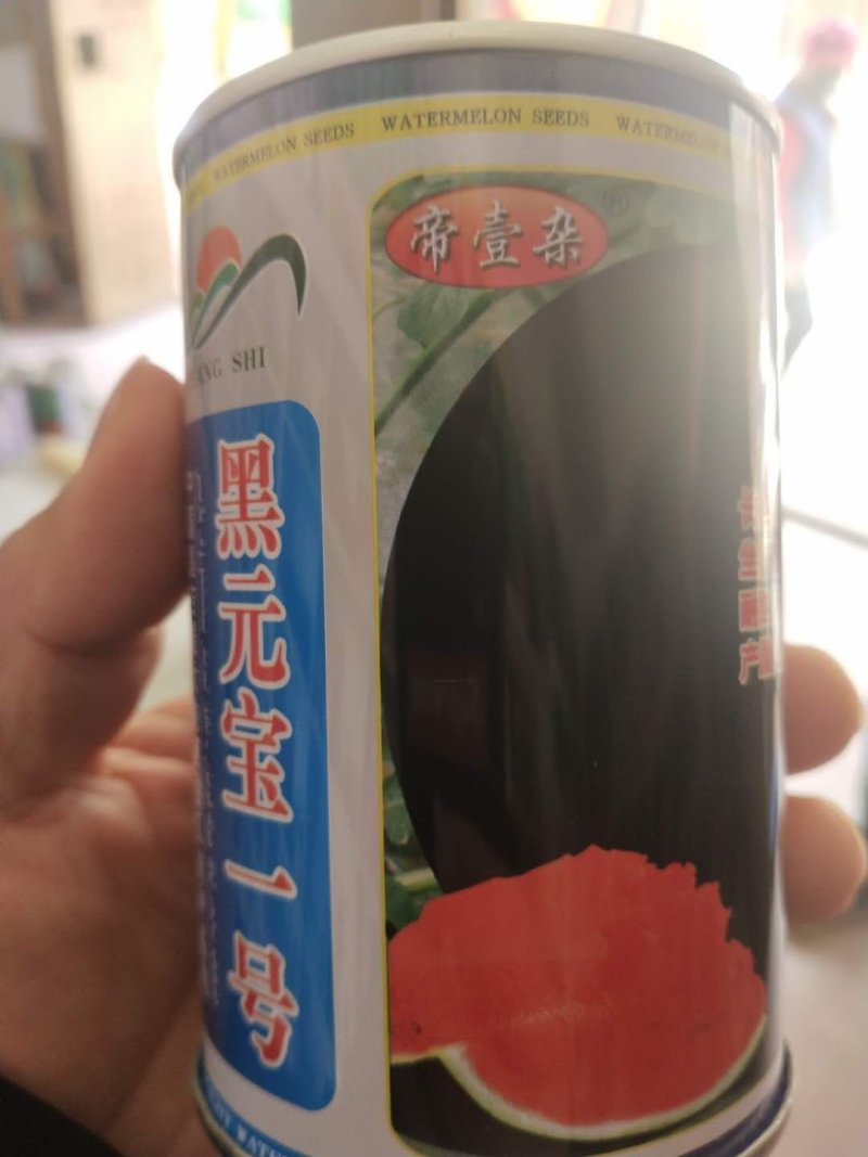 黑元宝西瓜种子黑皮无籽圆形大红瓤蜡粉浓