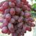 【热卖】葡萄，山东青岛精品克瑞森葡萄大量批发现货供应