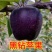 苹果苗（地栽:适合长江以北地区种植，盆景：适合全国地区）