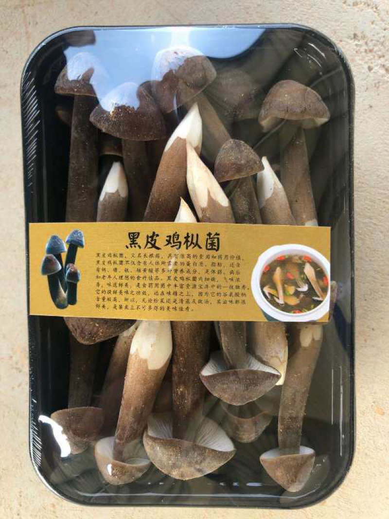 黑皮鸡枞