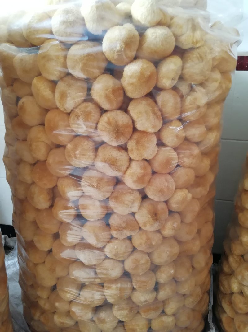 原产地厂家直销干猴头菇猴头菇干货货源充足包售后