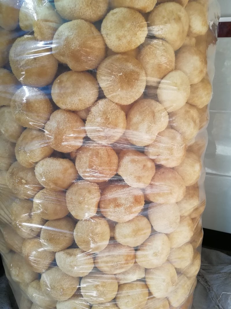 原产地厂家直销干猴头菇猴头菇干货货源充足包售后
