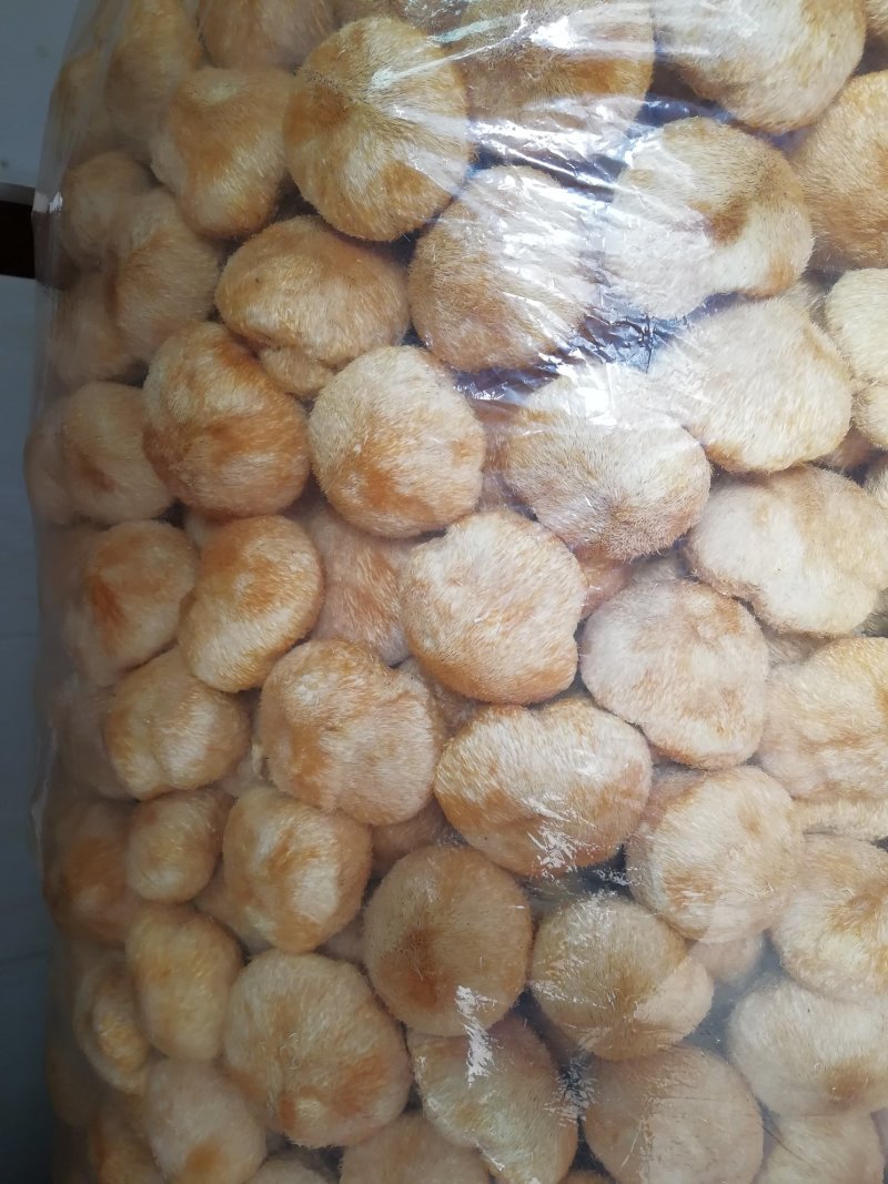 原产地厂家直销干猴头菇猴头菇干货货源充足包售后