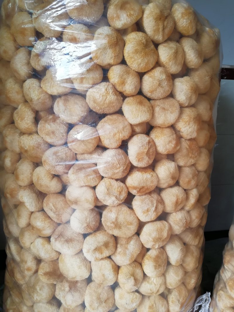 原产地厂家直销干猴头菇猴头菇干货货源充足包售后