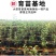 矮化苹果树苗盆栽当年结果室内外南北方种植阳台嫁接盆景树