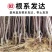 矮化苹果树苗盆栽当年结果室内外南北方种植阳台嫁接盆景树