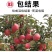 矮化苹果树苗盆栽当年结果室内外南北方种植阳台嫁接盆景树